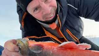 Jakten på storfisken i Finnmark med gammelhaill.