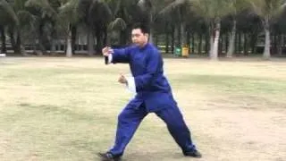 8 form - Chen stil taijiquan (Huang Kang Hui)