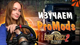 ПЕРВЫЙ СТРИМ ПО PROMODS - ИЗУЧАЕМ МИР ПРОМОДС В EURO TRUCK SIMULATOR 2