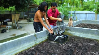 Incredible Free-range Farming - Perfect outdoor parakeet aviary! freshwater catfish massive harvest.