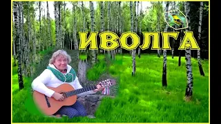 ИВОЛГА (музыка Кирилла Молчанова, слова Николая Заболоцкого)