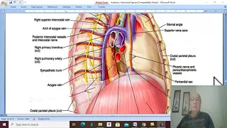 Respiratory Module 21 ( Azygos veins), by Dr. Wahdan