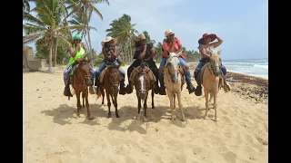 Rancho Caribeno Punta Cana Horse Ranch - 1 of the Best Things to Do in Punta Cana Dominican Republic