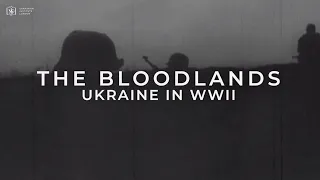 The Bloodlands. Ukraine in WWII