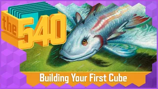 Building Your First Cube l MTG Cube Design l The 540