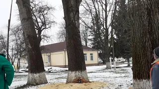 Валка  дерева біля клубу в Різуненково