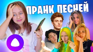 Троллю Яндекс Алису песнями лайкеров, тиктокеров и блогеров