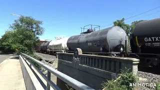 Railfanning on National Train Day @ Sacramento CA 5/11/2024