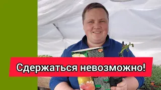 Сохраняю саженцы,вновь накупил красоты!🥰