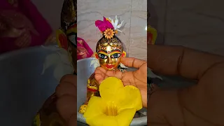 Laddu gopal saan shringar videos #gopalseva #shyam