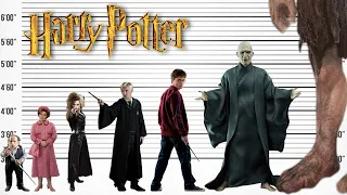 Harry Potter - Size Comparison | Biggest Characters of Harry Potter movie | Satisfying Video