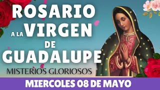 ✅💝SANTO ROSARIO A LA VIRGEN DE GUADALUPE HOY MIERCOLES  🙏📿 08 DE MAYO FE 📿 Catolica oficial 💝