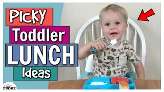 Picky Toddler Lunch Ideas | Bunches Of Lunches