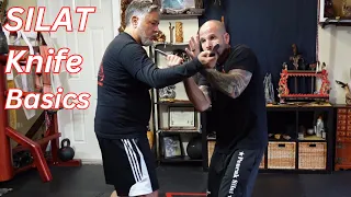 10 CRUCIAL Silat Knife Cut Applications for beginners