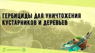 Гербициды для уничтожения кустарников и деревьев