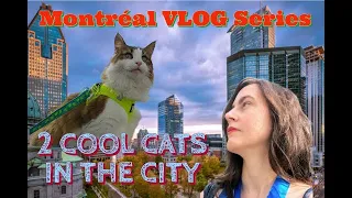 🌆 Montreal Vlog Series 🐈 2 Cool Cats In The City 😻 Day #1 of 6 📅 Thursday ⚙️ Industrial Loft AirBnB