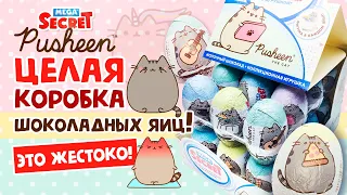 😻PUSHEEN CAT! 🙀 ЦЕЛАЯ КОРОБКА ШОКОЛАДНЫХ ЯИЦ! 🌈КОНКУРС ✨