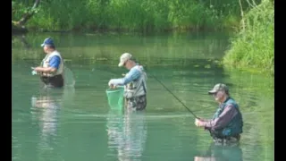 Maramec Spring Park Trout Fishing