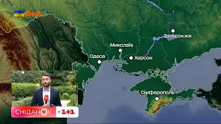 🌦 Без сонця, але з дощами: прогноз погоди на 4 серпня