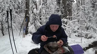 В лес на лыжах зимой с костром/открываем зимний сезон 24.11.2018