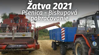 Žatva 2021 | Pšenica - Biskupová - pokračovanie