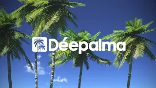 Meines feat. Lenny - Take Me Away [Déepalma Records]