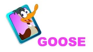 Goose - Birds - Pre School - Learn Spelling Videos For Kids