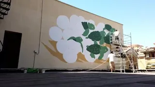 Sei tartarughe escono dalle uova nel nuovo murale a Ostia di Lucamaleonte, il timelapse