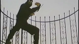 Richard Harrison scenes: Ninja Silent Assassin 1988 (w/ Stuart Smith)