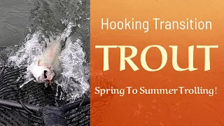 Rainbow Trout Fishing: Working The Spring To Summer Transition