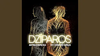 Dzīparos (feat. Antra Stafecka)