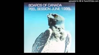 Boards of Canada - Happy Cycling (Bad Day) (original Peel Session broadcast version)