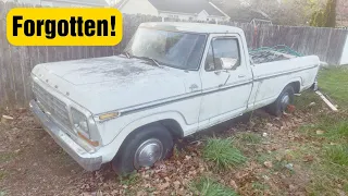 FORGOTTEN! 1979 Ford F150 with 351 modified abandoned in the back yard. Will it start? Will it run?