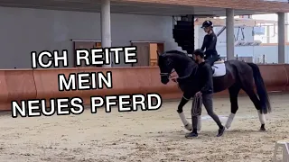 Erster Ritt | Ich reite mein neues Pferd | Inleobo