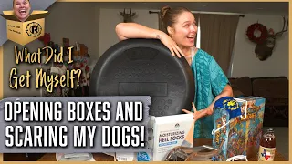I Open Packages and Scare My Dogs With Bubble Wrap | What Did I Get Myself?