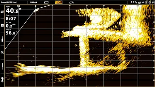 HUMMINBIRD MEGA LIVE - Full Review - What You Need To Know About Live Sonar