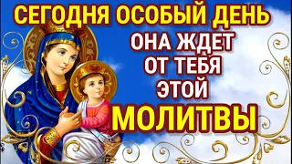 ПРЕСВЯТАЯ ПРЕЧИСТАЯ БОГОРОДИЦА ЖДЁТ ТВОЕЙ МОЛИТВЫ. ОБЯЗАТЕЛЬНО ИМЕННО СЕГОДНЯ ПРОЧТИ ЭТУ МОЛИТВУ!