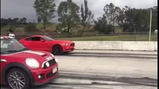 Mustang 5.0 vs Mini Cooper S