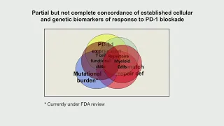 Dissecting the Tumor Microenvironment in PD1 Responsiveness vs. Non-responsiveness