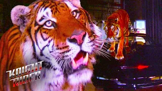 KITT VS a Tiger | Knight Rider