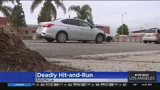 89-year-old woman killed in hit-and-run in South LA