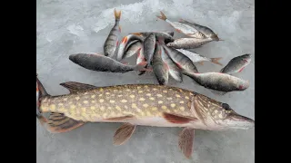 Рыбалка в Латгалии, очень плохой и опасный лёд!
