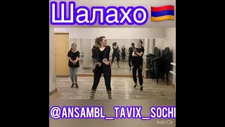 Мы танцуем Шалахо ансамбль Тавих Сочи рук Марта ПАПАЗЯН