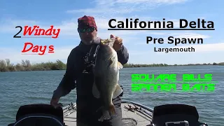 California Delta (Quality size largemouth and good numbers)