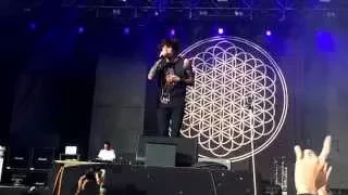 Bring Me The Horizon - 2014. július 4. (Volt fesztivál@Sopron)