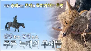 서로를 죽여야 살아갈 수 있는 존재들, 늑대와 인간의 생존을 위한 처절한 사투 | 가장 숭배하는 존재를 죽여야 하는 운명, 푸른 늑대의 후예들 - 몽골 유목민 | 다큐프라임