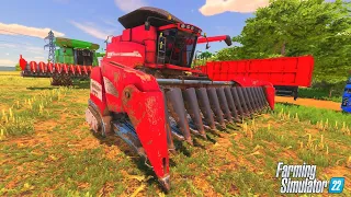 FINALIZANDO A COLHEITA DO MILHO || PONTE FUNDA || FARMING SIMULATOR 22 || #108 G29