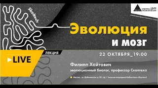 Онлайн-лекция "Эволюция и мозг" в рамках проекта "Сколтех в Архэ"