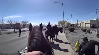 Video: Accused shoplifter chased down by Albuquerque police officers on horseback