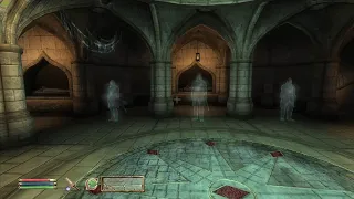 The Elder Scrolls IV: Oblivion.(активирован режим маскировки.)